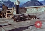 Immagine di Adolf Hitler cani Berchtesgaden Germania, 1940, secondo 32 filmato di repertorio 65675047969