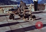 Immagine di Adolf Hitler cani Berchtesgaden Germania, 1940, secondo 33 filmato di repertorio 65675047969
