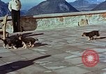 Immagine di Adolf Hitler cani Berchtesgaden Germania, 1940, secondo 42 filmato di repertorio 65675047969