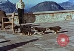 Immagine di Adolf Hitler cani Berchtesgaden Germania, 1940, secondo 44 filmato di repertorio 65675047969