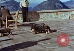 Immagine di Adolf Hitler cani Berchtesgaden Germania, 1940, secondo 46 filmato di repertorio 65675047969