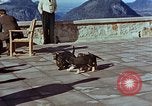 Immagine di Adolf Hitler cani Berchtesgaden Germania, 1940, secondo 47 filmato di repertorio 65675047969
