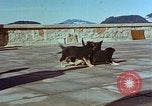 Immagine di Adolf Hitler cani Berchtesgaden Germania, 1940, secondo 54 filmato di repertorio 65675047969