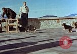 Immagine di Adolf Hitler cani Berchtesgaden Germania, 1940, secondo 57 filmato di repertorio 65675047969