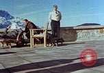 Immagine di Adolf Hitler cani Berchtesgaden Germania, 1940, secondo 59 filmato di repertorio 65675047969