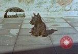 Standbild Berghof Terrasse Berchtesgaden Deutschland, 1940, aus Sekunde 15 historischem Filmmaterial Videoclip 65675047970