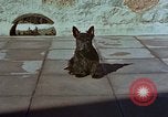 Standbild Berghof Terrasse Berchtesgaden Deutschland, 1940, aus Sekunde 19 historischem Filmmaterial Videoclip 65675047970