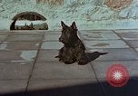 Standbild Berghof Terrasse Berchtesgaden Deutschland, 1940, aus Sekunde 20 historischem Filmmaterial Videoclip 65675047970