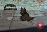 Standbild Berghof Terrasse Berchtesgaden Deutschland, 1940, aus Sekunde 21 historischem Filmmaterial Videoclip 65675047970