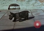 Standbild Berghof Terrasse Berchtesgaden Deutschland, 1940, aus Sekunde 22 historischem Filmmaterial Videoclip 65675047970