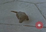 Standbild Berghof Terrasse Berchtesgaden Deutschland, 1940, aus Sekunde 29 historischem Filmmaterial Videoclip 65675047970