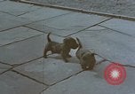 Standbild Berghof Terrasse Berchtesgaden Deutschland, 1940, aus Sekunde 32 historischem Filmmaterial Videoclip 65675047970