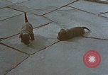 Standbild Berghof Terrasse Berchtesgaden Deutschland, 1940, aus Sekunde 36 historischem Filmmaterial Videoclip 65675047970