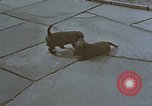 Standbild Berghof Terrasse Berchtesgaden Deutschland, 1940, aus Sekunde 39 historischem Filmmaterial Videoclip 65675047970