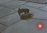 Standbild Berghof Terrasse Berchtesgaden Deutschland, 1940, aus Sekunde 40 historischem Filmmaterial Videoclip 65675047970