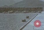 Standbild Berghof Terrasse Berchtesgaden Deutschland, 1940, aus Sekunde 43 historischem Filmmaterial Videoclip 65675047970