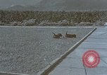 Standbild Berghof Terrasse Berchtesgaden Deutschland, 1940, aus Sekunde 50 historischem Filmmaterial Videoclip 65675047970