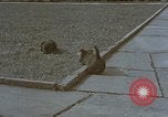 Standbild Berghof Terrasse Berchtesgaden Deutschland, 1940, aus Sekunde 54 historischem Filmmaterial Videoclip 65675047970