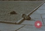 Standbild Berghof Terrasse Berchtesgaden Deutschland, 1940, aus Sekunde 55 historischem Filmmaterial Videoclip 65675047970