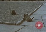 Standbild Berghof Terrasse Berchtesgaden Deutschland, 1940, aus Sekunde 56 historischem Filmmaterial Videoclip 65675047970
