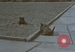 Standbild Berghof Terrasse Berchtesgaden Deutschland, 1940, aus Sekunde 57 historischem Filmmaterial Videoclip 65675047970