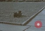 Standbild Berghof Terrasse Berchtesgaden Deutschland, 1940, aus Sekunde 58 historischem Filmmaterial Videoclip 65675047970