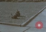 Standbild Berghof Terrasse Berchtesgaden Deutschland, 1940, aus Sekunde 59 historischem Filmmaterial Videoclip 65675047970