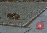 Standbild Berghof Terrasse Berchtesgaden Deutschland, 1940, aus Sekunde 60 historischem Filmmaterial Videoclip 65675047970