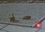 Standbild Berghof Terrasse Berchtesgaden Deutschland, 1940, aus Sekunde 62 historischem Filmmaterial Videoclip 65675047970