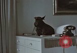 Immagine di Ufficiale nazista Berchtesgaden Germania, 1940, secondo 3 filmato di repertorio 65675047972