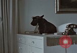 Immagine di Ufficiale nazista Berchtesgaden Germania, 1940, secondo 4 filmato di repertorio 65675047972