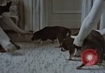 Immagine di Ufficiale nazista Berchtesgaden Germania, 1940, secondo 10 filmato di repertorio 65675047972