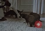 Immagine di Ufficiale nazista Berchtesgaden Germania, 1940, secondo 11 filmato di repertorio 65675047972