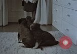 Immagine di Ufficiale nazista Berchtesgaden Germania, 1940, secondo 18 filmato di repertorio 65675047972