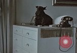 Immagine di Ufficiale nazista Berchtesgaden Germania, 1940, secondo 22 filmato di repertorio 65675047972