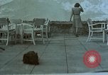 Image Adolf Hitler avec Eva Braun's de chiens au Berghof Berchtesgaden Allemagne, 1944, de la seconde 5 séquences d'archives historiques vidéo 65675047973
