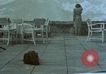 Image Adolf Hitler avec Eva Braun's de chiens au Berghof Berchtesgaden Allemagne, 1944, de la seconde 6 séquences d'archives historiques vidéo 65675047973