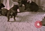 Immagine di Adolf Hitler Berghof Berchtesgaden Germania, 1940, secondo 1 filmato di repertorio 65675047979