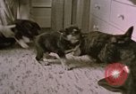 Immagine di Adolf Hitler Berghof Berchtesgaden Germania, 1940, secondo 6 filmato di repertorio 65675047979