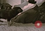Immagine di Adolf Hitler Berghof Berchtesgaden Germania, 1940, secondo 8 filmato di repertorio 65675047979