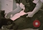 Immagine di Adolf Hitler Berghof Berchtesgaden Germania, 1940, secondo 9 filmato di repertorio 65675047979
