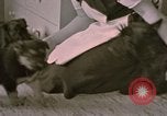 Immagine di Adolf Hitler Berghof Berchtesgaden Germania, 1940, secondo 10 filmato di repertorio 65675047979