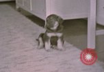 Immagine di Adolf Hitler Berghof Berchtesgaden Germania, 1940, secondo 11 filmato di repertorio 65675047979