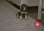 Immagine di Adolf Hitler Berghof Berchtesgaden Germania, 1940, secondo 12 filmato di repertorio 65675047979