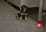 Immagine di Adolf Hitler Berghof Berchtesgaden Germania, 1940, secondo 13 filmato di repertorio 65675047979