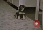 Immagine di Adolf Hitler Berghof Berchtesgaden Germania, 1940, secondo 14 filmato di repertorio 65675047979