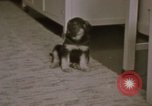Immagine di Adolf Hitler Berghof Berchtesgaden Germania, 1940, secondo 15 filmato di repertorio 65675047979