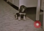 Immagine di Adolf Hitler Berghof Berchtesgaden Germania, 1940, secondo 16 filmato di repertorio 65675047979
