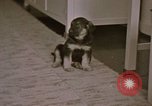 Immagine di Adolf Hitler Berghof Berchtesgaden Germania, 1940, secondo 17 filmato di repertorio 65675047979