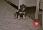 Immagine di Adolf Hitler Berghof Berchtesgaden Germania, 1940, secondo 18 filmato di repertorio 65675047979